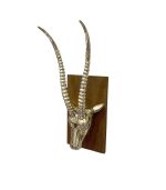 سردیس دیوارکوب گوزن فلزی دست‌ساز آلومینیوم و نیکل با صفحه چوبی